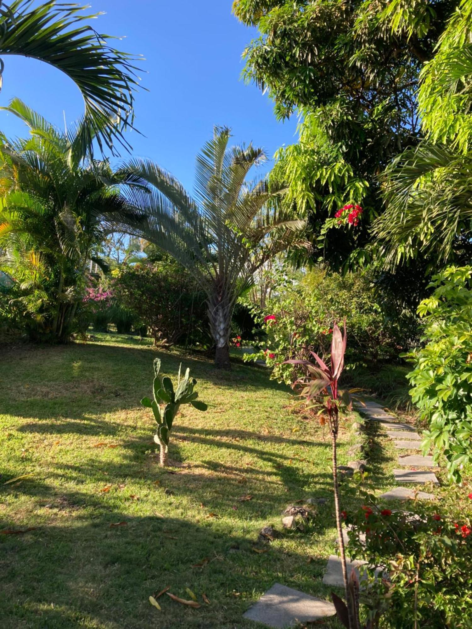 La Maracuya Panama Bed & Breakfast Playa Coronado Dış mekan fotoğraf