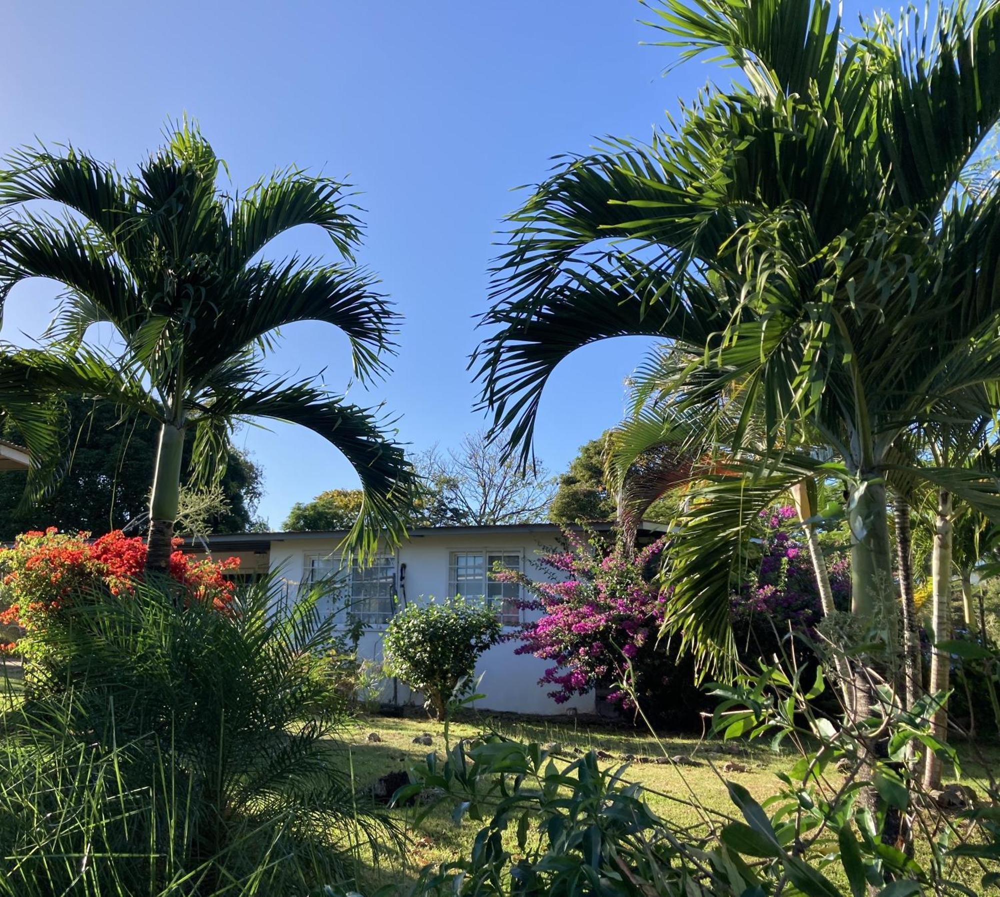 La Maracuya Panama Bed & Breakfast Playa Coronado Dış mekan fotoğraf