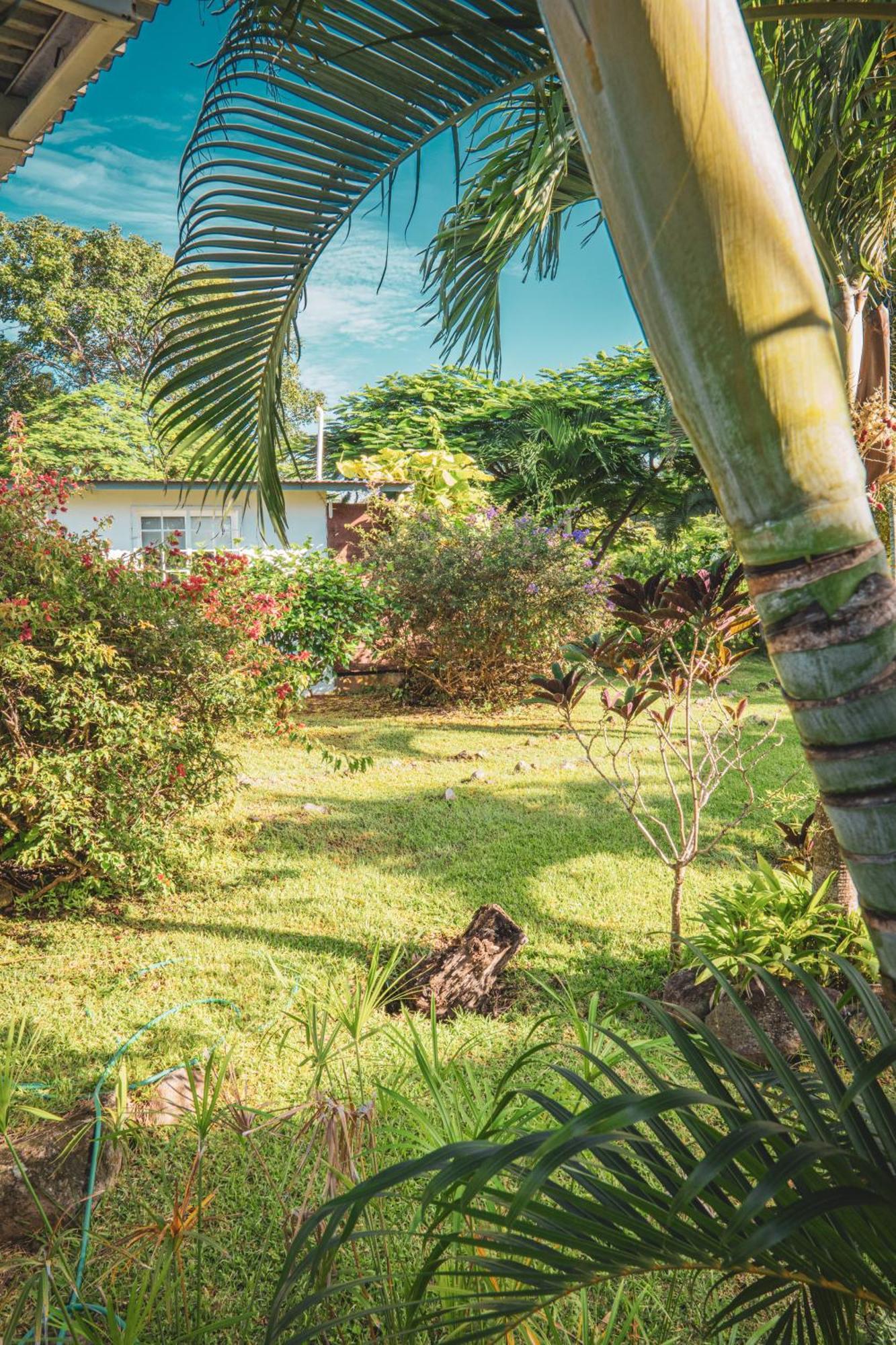 La Maracuya Panama Bed & Breakfast Playa Coronado Dış mekan fotoğraf